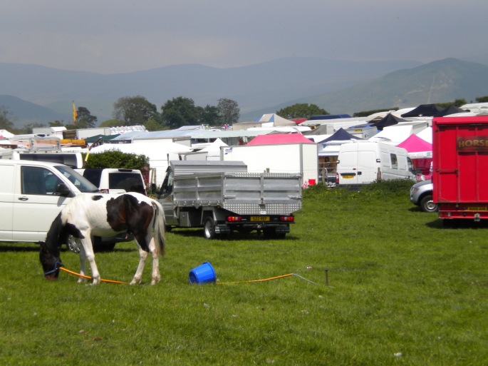 Appleby Horse Fair 2013 009